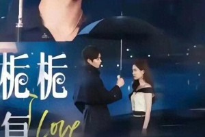 《栀栀复栀栀》爆火：柯淳颠覆霸总形象，舔狗式追妻引热议