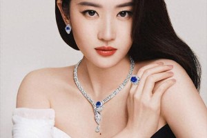 刘亦菲余承东黄玫瑰事件：网络误读与舆论惯性